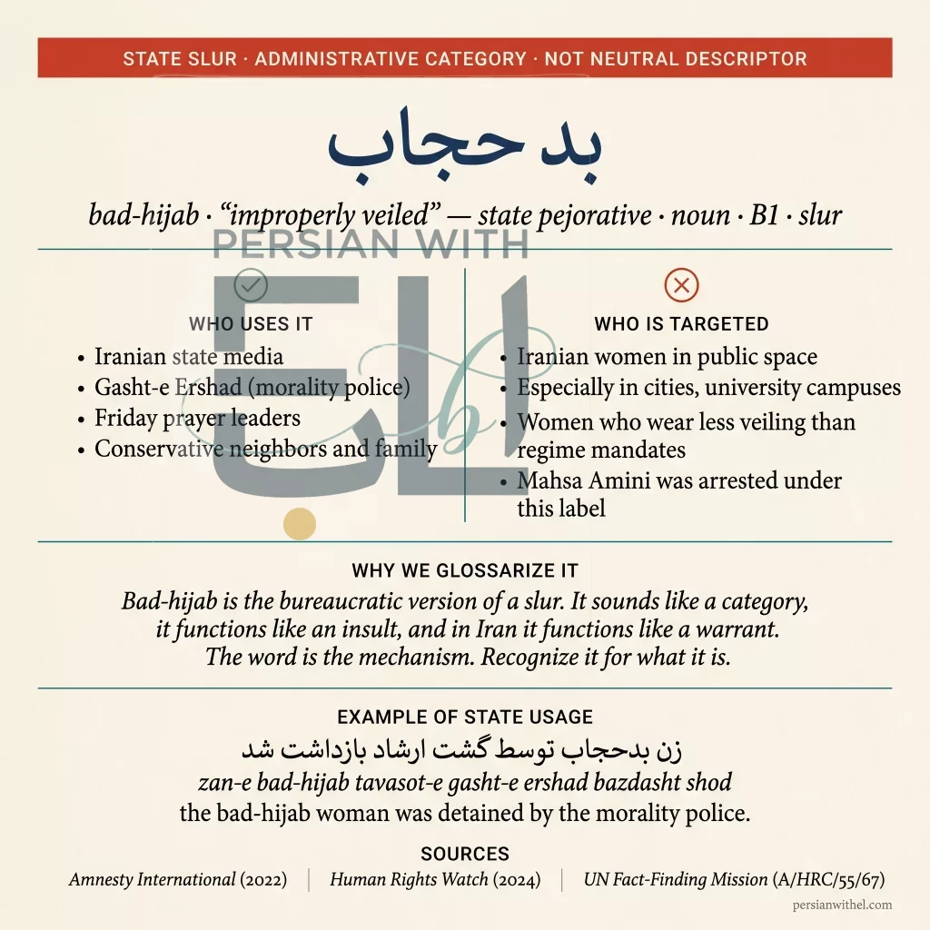 Register card for bad-hijab — state slur, the label Mahsa Amini was arrested under. Sourced framing.