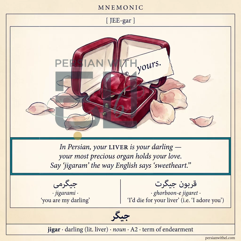 Glossary mnemonic card for jigar (literally liver, spoken meaning "darling"). Ruby-liver in a velvet jewelry box with "yours" gift tag. Bridge sentence explains the cognitive friction.